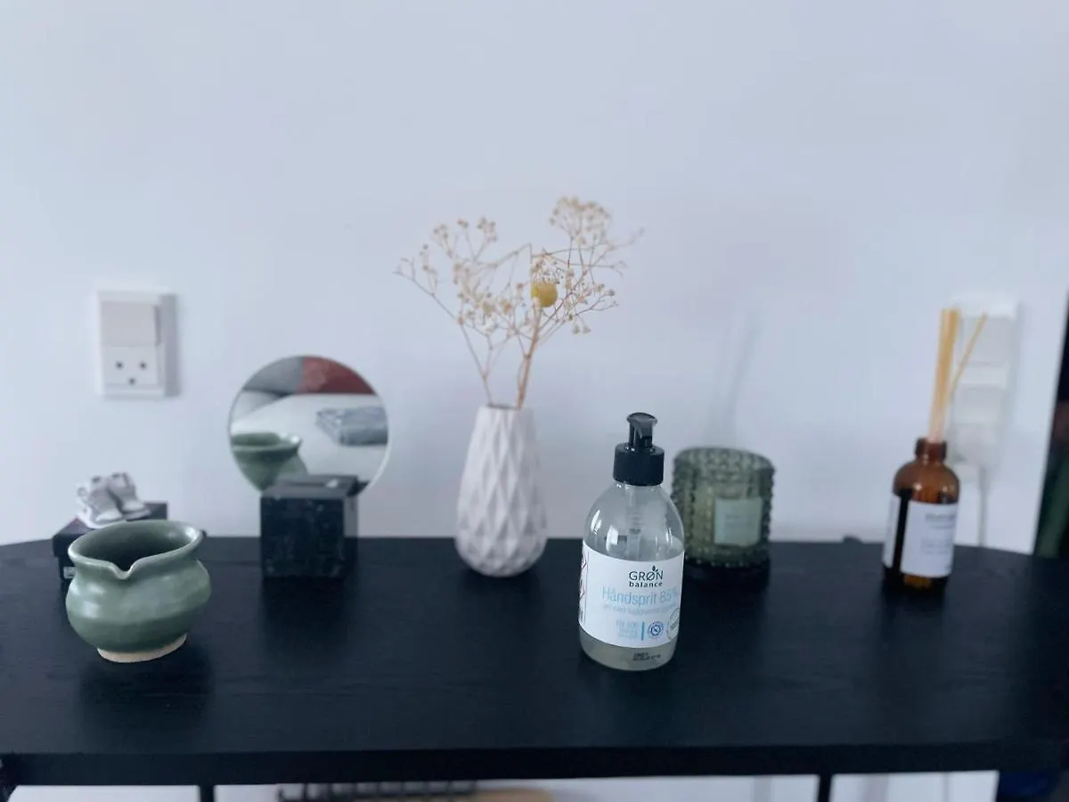 An Cosy Apartment Near Cph Airport Copenhagen
